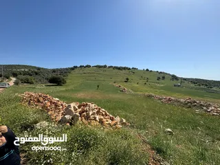  1 قطعة أرض زراعية جاهزة للزراعية