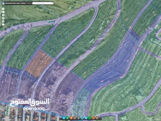  3 مجموعة اراضي للبيع برام الله 600 متر بجانب الحي الدبلوماسي