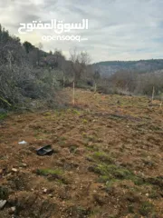  1 ارض زراعية للبيع مساحة 700 متر