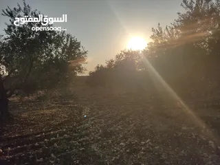  4 قطعة ارض للبيع