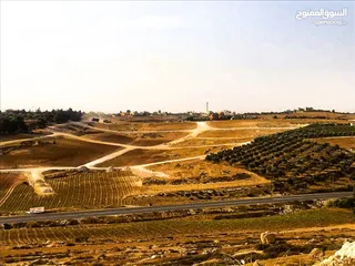  5 أرض 751م للبيع بالأقساط ضمن مشروع أراضي الحمرا عمان ناعور ام القطين