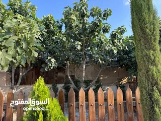  28 مزرعة وشاليه جنة النعيم طريق المطار للايجار اليومي