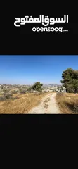  2 قطعت ارض في أم جوزه دنم و 23 متر (قابل  للتفاوض)موقع رائع الحجر مستورد من نابلس و انبا في 1950
