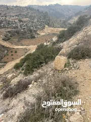  3 ارض في العابد