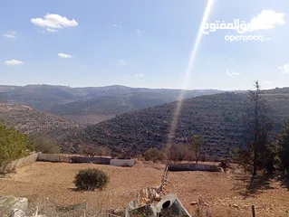  3 أرض مميزة للبيع
