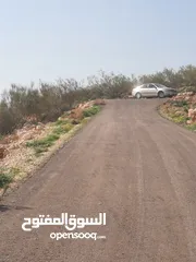  9 مزرعه للبيع في بيرين بالقرب من شفا بدران مساحه 3500 م قوشان مستقل على 3 شوارع  