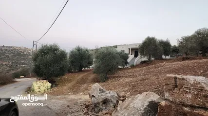  4 كوبر / أرض للبيع مساحه 750 متر مشجره بالزبتون