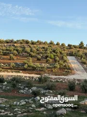  2 للبيع 3500م ثلاث دنم ونصف منطقة نادرة شرق جرش