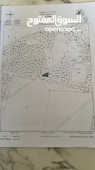  2 ارض سكنية نصف دونم اجمل اراضي ناعور حسبان للبيع بسعر مناسب