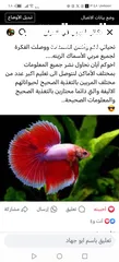  25 يرقات دود القبابي حي ميلوورم mealworm غذاء ممتاز بروتين حيواني لا يسبب التشحيم للطيور والاسمام