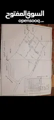  1 أرض للبيع الموقع نابلس طلوزه