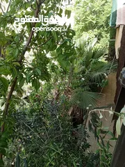  1 شقة مميزه للبيع بسعر مغري عين الباشا