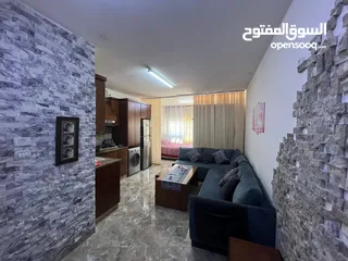  1 استديو مفروش للايجار/ قري فندق الميلينيوم/ الماصيون
