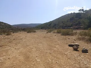  5 ارض مميزة للبيع