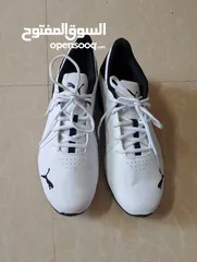  11 حذاء .Puma  اصلي بحال الوكاله لساته جديد وارد أروبي  الواحد ب 35