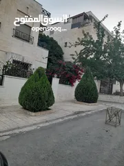  4 قص الاشجار وتنسيق الحدائق ورش الاشجار بأسعار جيدة