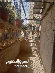  2 شقة للبيع في ضاحية الأمير حسن بسعر ممتاز