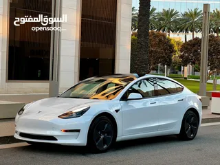  17 Tesla model 3 standard plus 2021