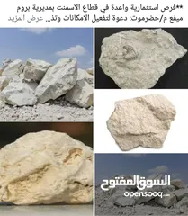  1 انشاء مصنع الاسمنت 2025 بجودة عالمية و اربح كبيره