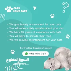  2 Cats Home Care