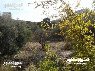  21 ارض مميزة مطلة ابو السوس غرب عمان عدة قطع في المنطقة.
