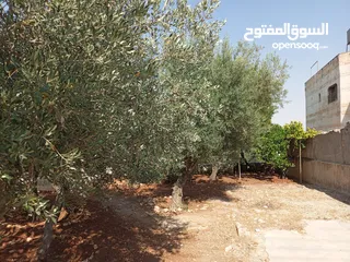  15 منزل شبه فيلا للايجار يصلح لعمل حضانه او روضه او مركز تحفيظ قرآن او شركه والعديد من الأعمال التجاريه