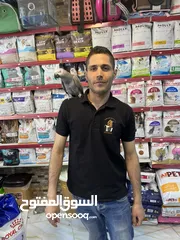  3 كاسكو حجل دهبي أليف متكلم راقص هدد تابع الوصف