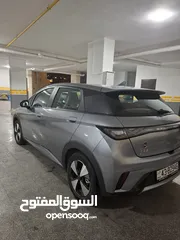  4 Byd dolphin