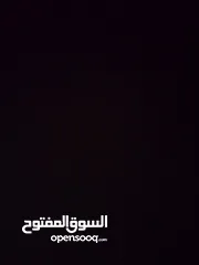  17 حساب فري فاير للبيع قديم ومشحون عليه كثير