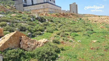  1 ارض للبيع طابو سلطه  سكن با 3دونم في العالي ع قمه الجبل   في عي عريك