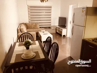  12 Direct from the owner Furnished one bedroom app شقه مفروشه للايجار الشهري من المالك