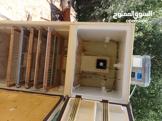  1 فقاسة 550 بيضة  نظام دكت عراقي داخلي - توزيع حرارة مثالي نسبة نجاح عالية جدا  سعر مناسب للجميع