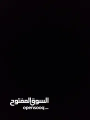  1 العصفير فشر