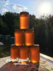  1 عسل طبيعي 100% من مناحل الأردن