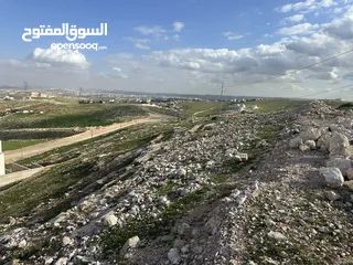  1 ارض شفا بدران بجانب ترخيص شمال عمان 500 متر