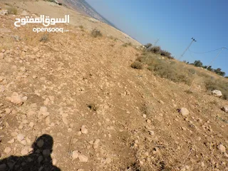  5 أجمل اطلالات جلعد-قوشان مستقل