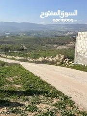  5 ارض للبيع جرش عنيبه منطقة شاليهات مساحة الارض 3500متر بقوشان مستقل اطلاله مميزه جدا جدا