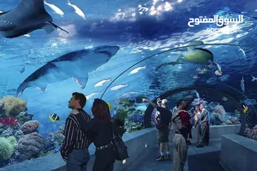  6 تأمين فيزا شنغن على جميع دول أوروبا وفيزه كندا والدفع بعد صدور الفيزه