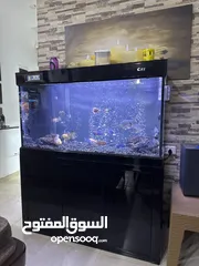  1 حوض اسماك اجنبي مع ساب داخلي