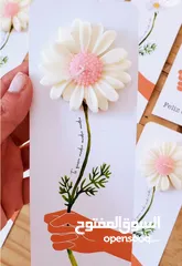  1 "عرض فاخر – شموع ورود اليدوية، روائح ساحرة وتصميم أنيق!" كل 50 وردة بي 150