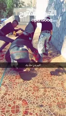  32 لحام متنقل ذبح أضاحي خاروف عجل بلدي جمل غنم بلدي روماني برزيلي كولمبي اسباني خروف بلدي جزار متنقل