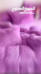  7 لحاف ريش النعام دبل فيس مجوز – 4 قطع