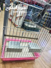  6 ببغاء كوكتيل اليف ، مع قفص و ستناد شاهد الوصف احلى هدية ، بالعيد لا تعايد خد طير لخطيبتك