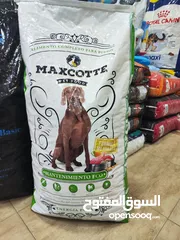  1 يا أهل الكلاب الطيبة! اسمعوا العرض اللي ما بتفوت
