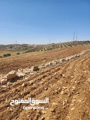  4 للبيع ارض الدجنية يوجد 3 قطعه