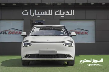  6 Dongfeng NAMMI BOX 2023
