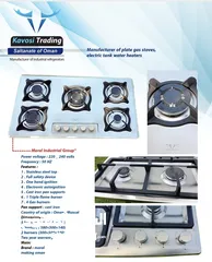  2 manufacturing plate gas stove.