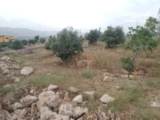 18 قطعة أرض مميزة مطلة في اجمل مناطق جرش - الكفير - القبسية