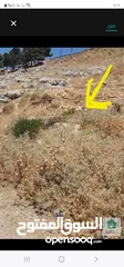  1 قطعه ارض مطله للبيع في السلط نقب الدبور سكن ج