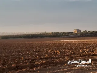  26 اراضــي للبيــع في مادبـــــا حوارة مفروزة سكن أ  وزراعي مميزة مستوية باسعار مناسبة